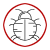 Bed Bug Treatment