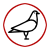 Pigeon Control