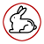 Rabbit Control