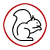 Squirrel Control
